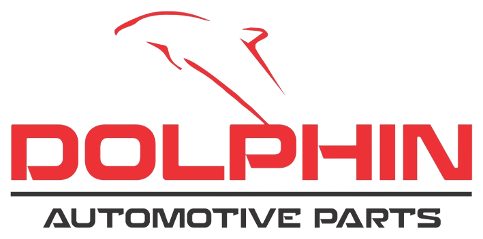 Dolphin